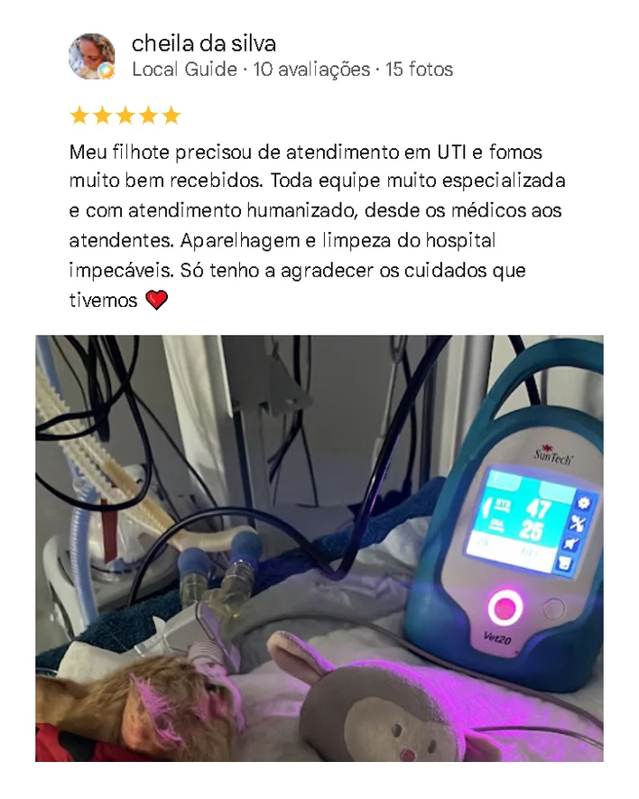 Avaliação de cliente no Google sobre o Santa Vida