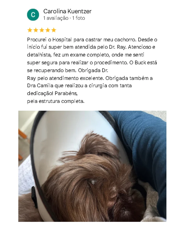 Avaliação de cliente no Google sobre o Santa Vida