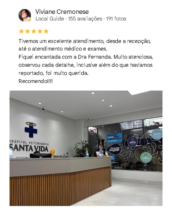 Avaliação de cliente no Google sobre o Santa Vida