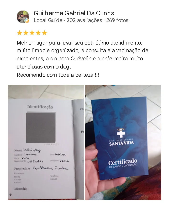 Avaliação de cliente no Google sobre o Santa Vida