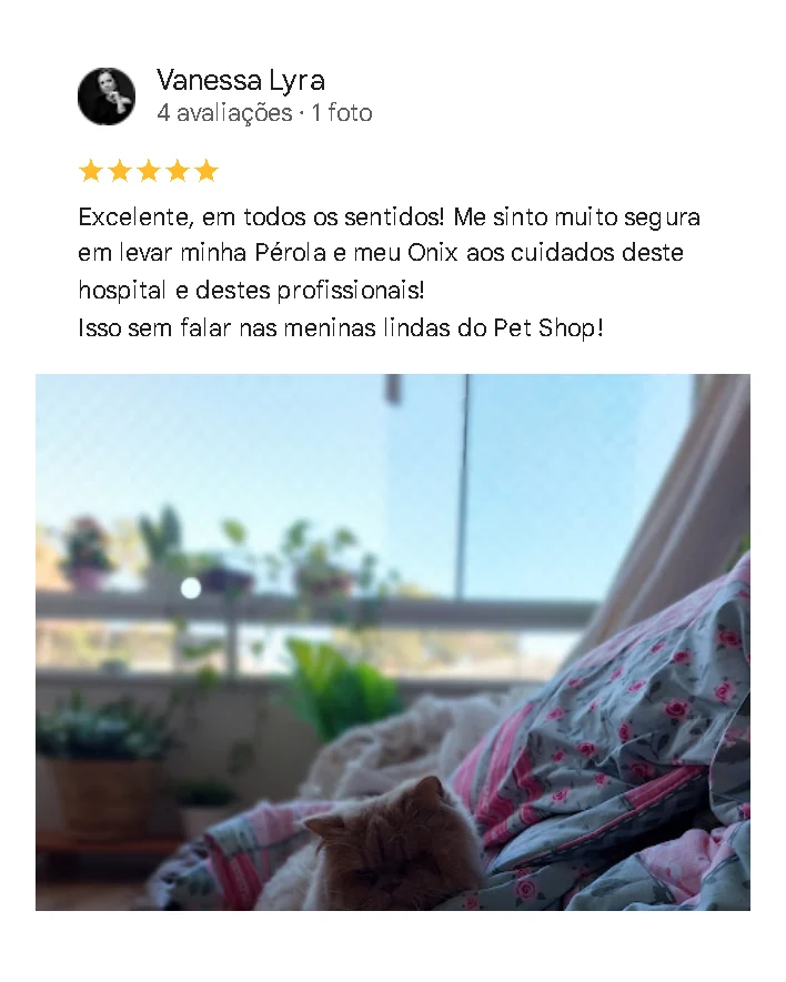 Avaliação de cliente no Google sobre o Santa Vida
