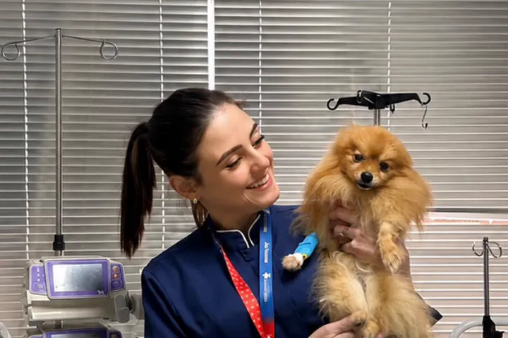 Veterinária do Santa Vida Estreito com um lulu-da-pomerânia no colo
